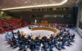 Security Council Reaffirms Support for UN’S Diplomatic Efforts in Central Asia