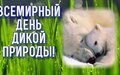 ПОСЛАНИЕ ГЕНЕРАЛЬНОГО СЕКРЕТАРЯ ПО СЛУЧАЮ ВСЕМИРНОГО ДНЯ  ДИКОЙ ПРИРОДЫ
